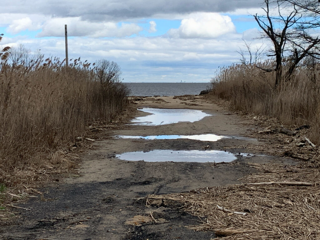 a muddy area with a few puddles of water in it (MyCoast AI)