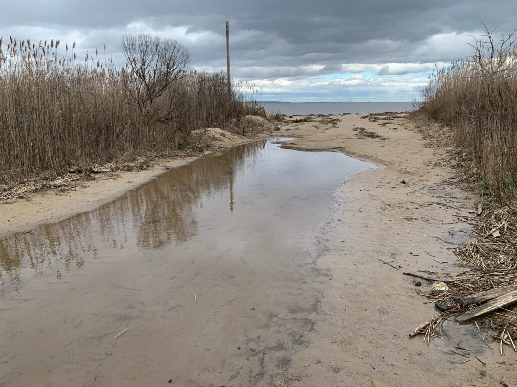 a muddy river with trees on the side (MyCoast AI)