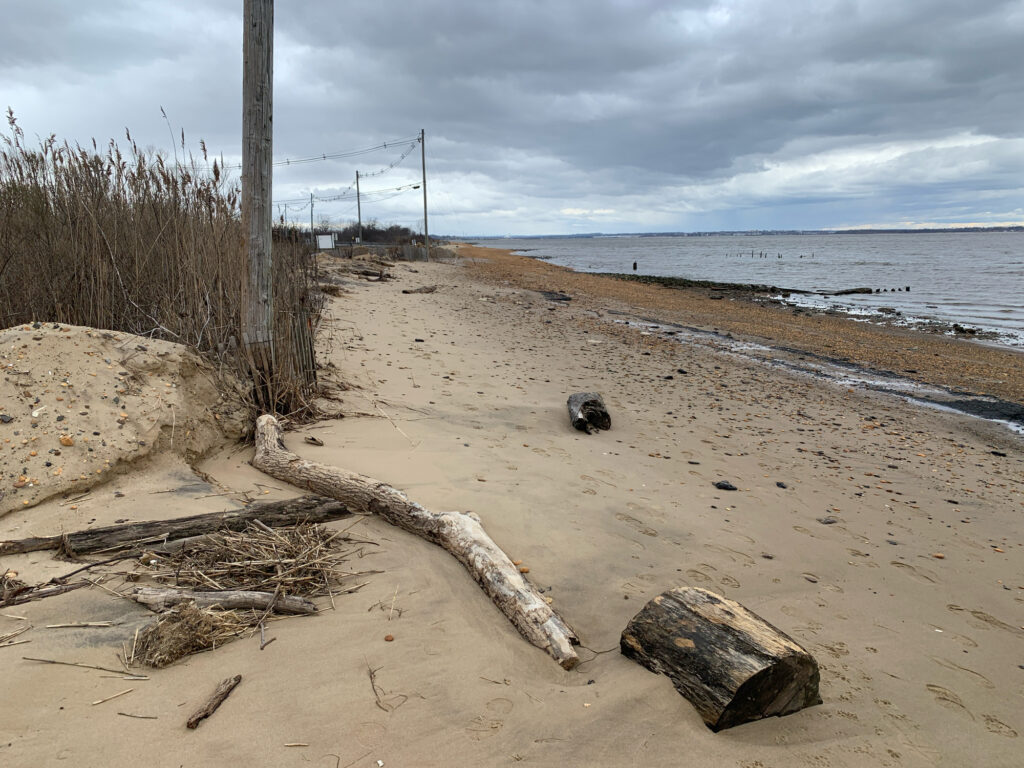 a sandy beach with a pile of wood and a pile of sticks (MyCoast AI)