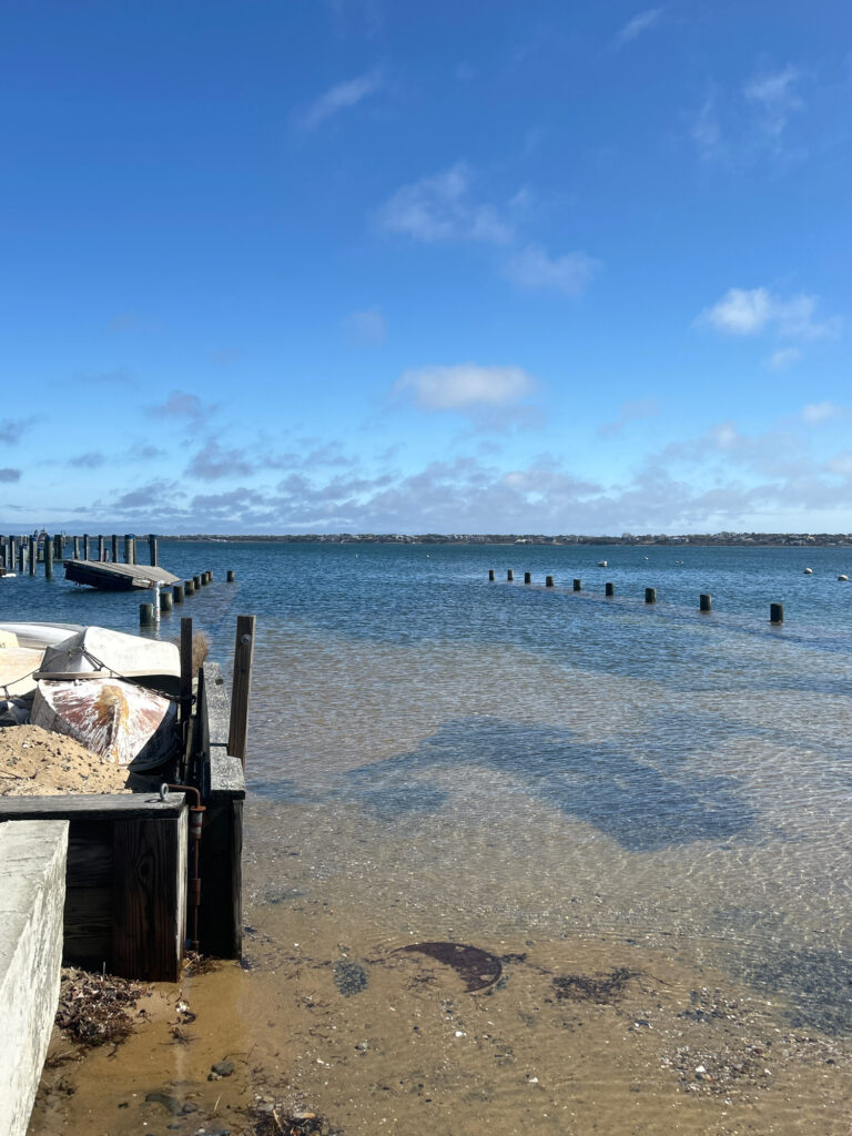 a beach with a pier and a body of water (MyCoast AI)