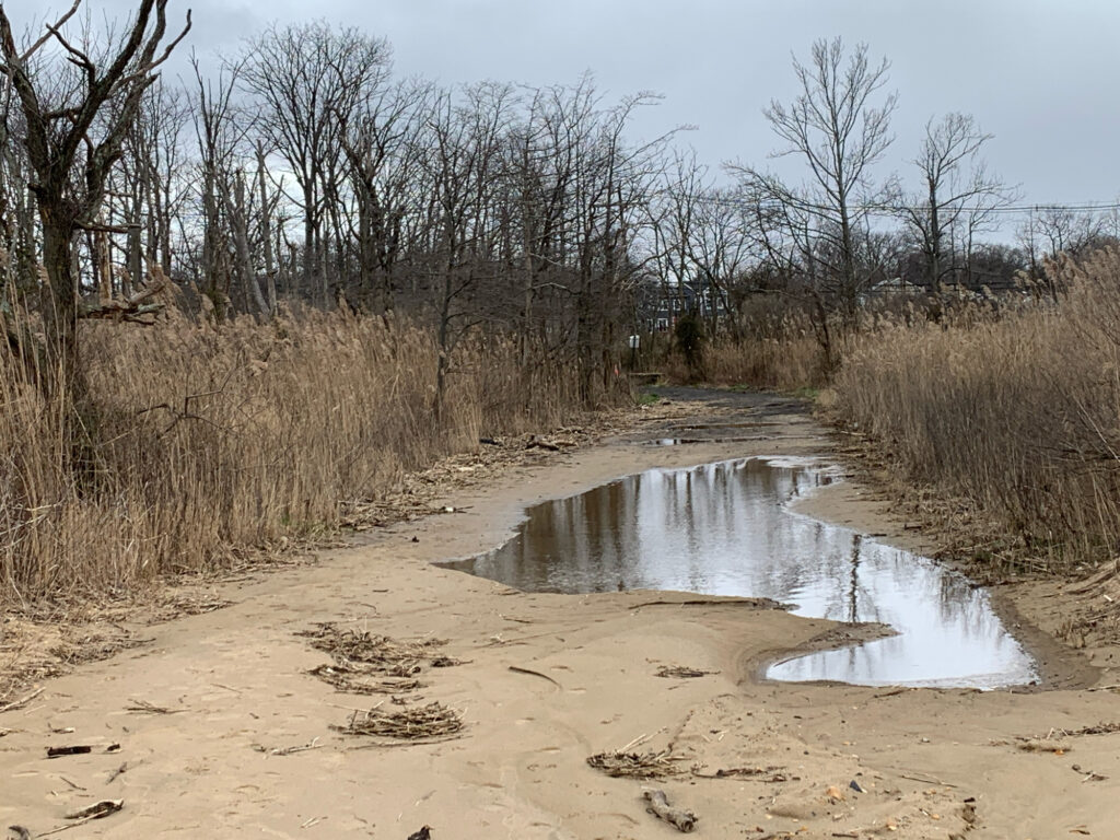 a small pond in a dry landscape (MyCoast AI)