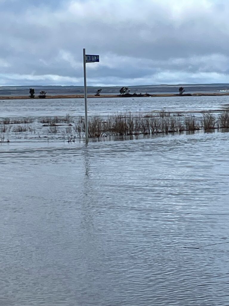 a body of water with a sign in the middle (MyCoast AI)