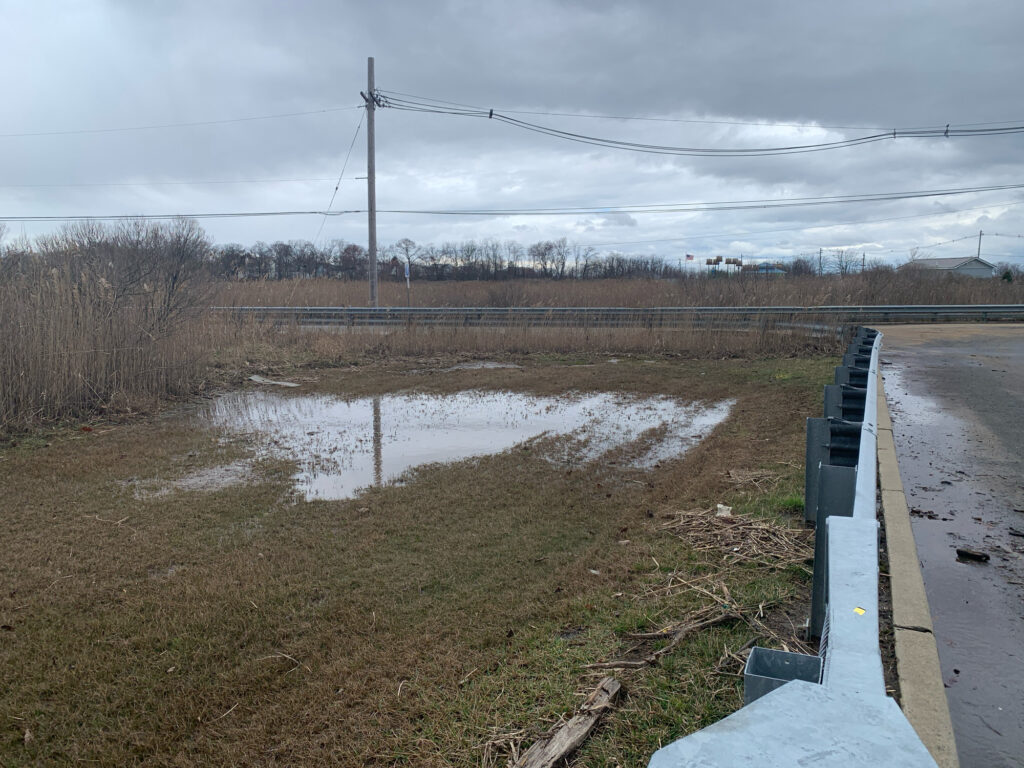 a puddle of water in a field (MyCoast AI)