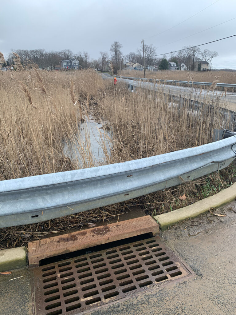 a pipe in a ditch (MyCoast AI)