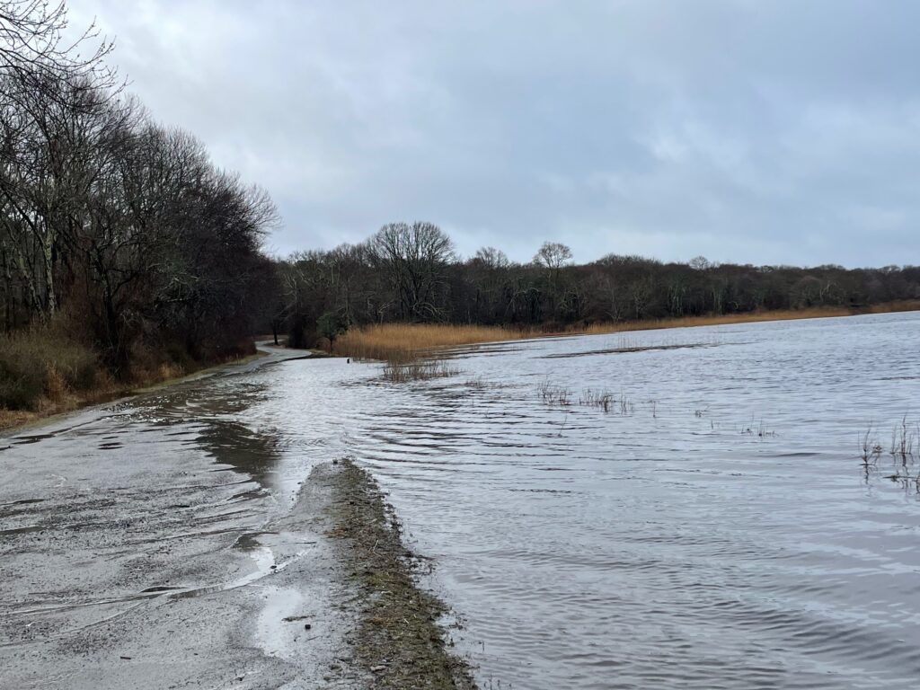a river with trees on the side (MyCoast AI)