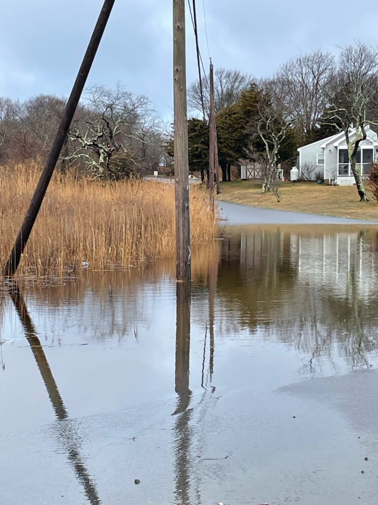 a flooded area with a pole and trees (MyCoast AI)