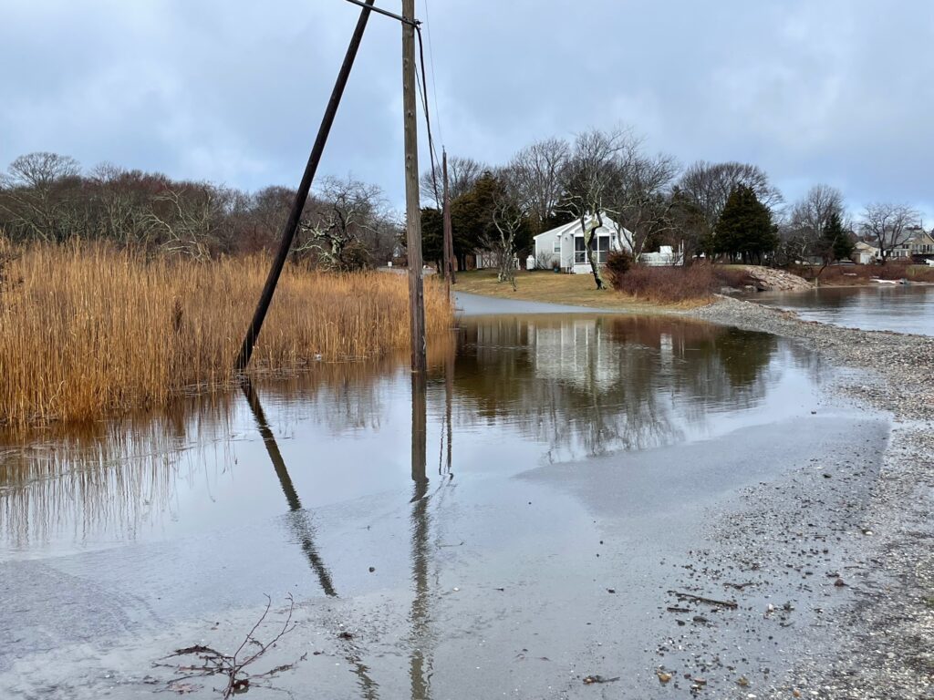 a flooded area with a pole and a house in the background (MyCoast AI)