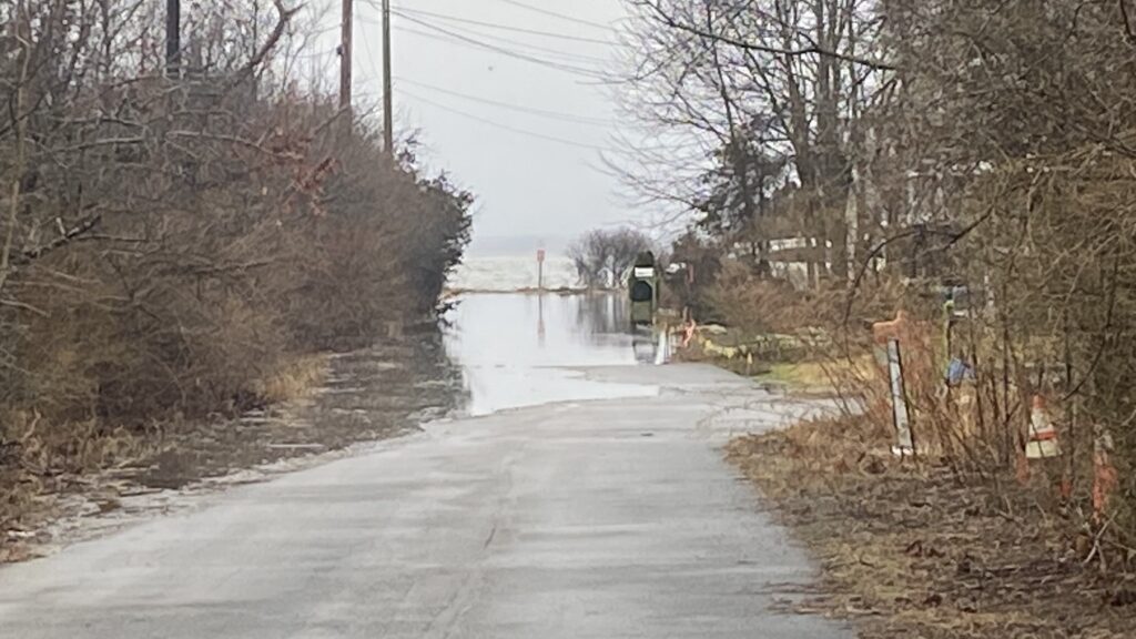 a flooded road with trees on either side of it (MyCoast AI)