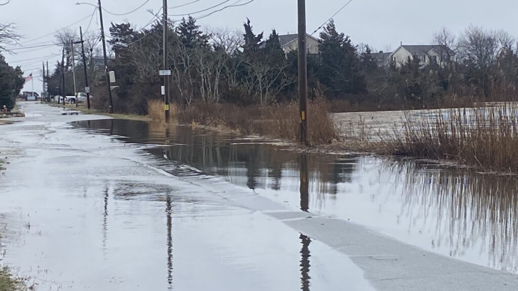 a flooded area with trees and houses (MyCoast AI)
