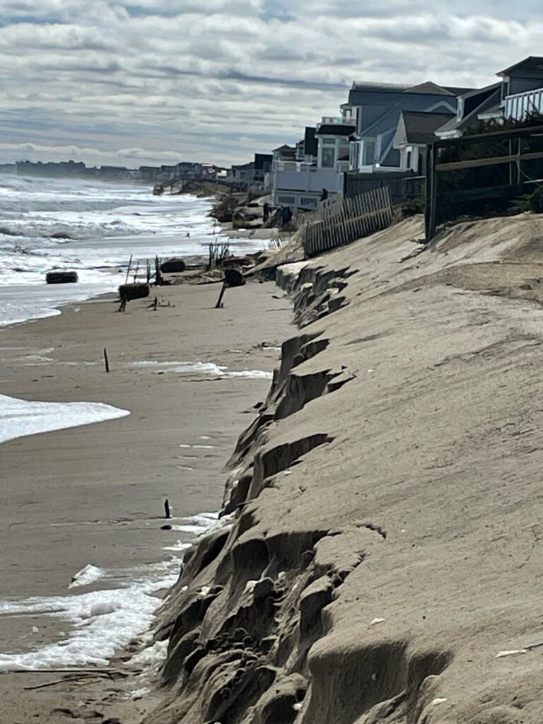 a beach with a pile of logs (MyCoast AI)