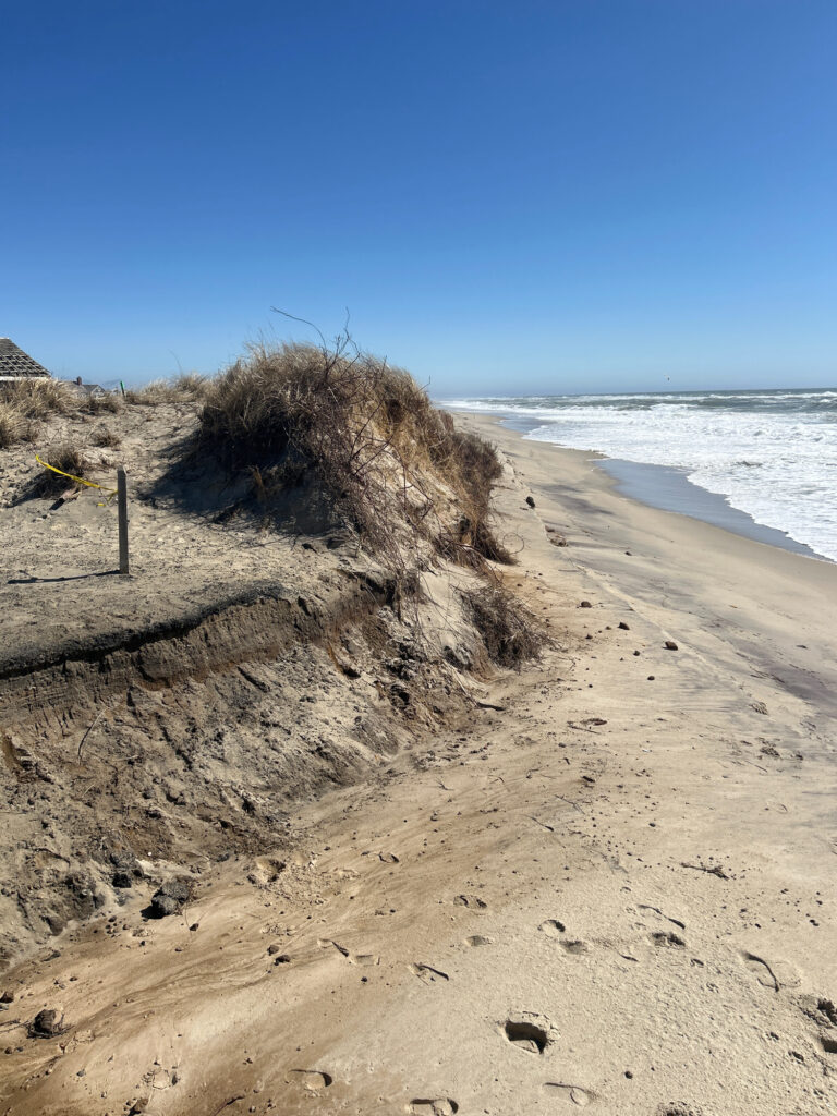 a sandy beach with waves crashing on it (MyCoast AI)