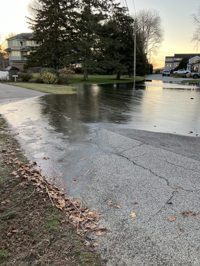 a flooded street with houses and trees (MyCoast AI)