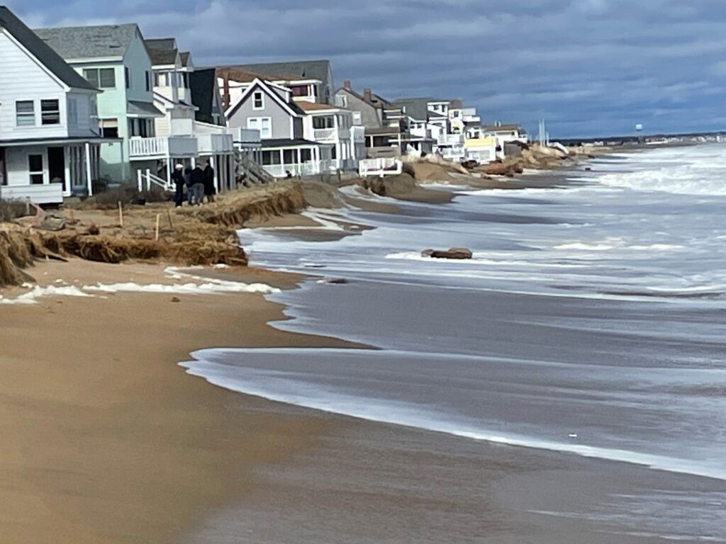 a group of people on a beach (MyCoast AI)