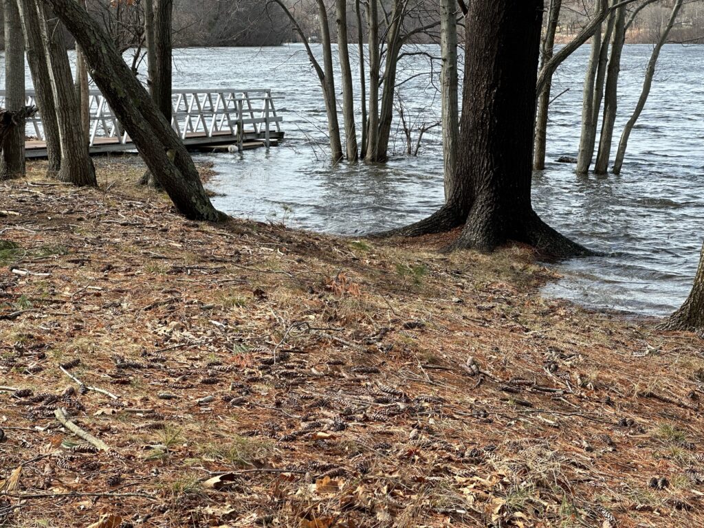 a path with trees and a body of water in the background (MyCoast AI)