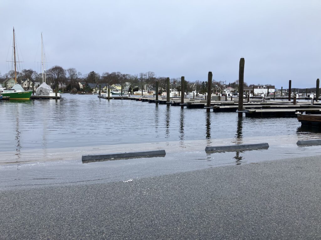 a dock with boats in it (MyCoast AI)