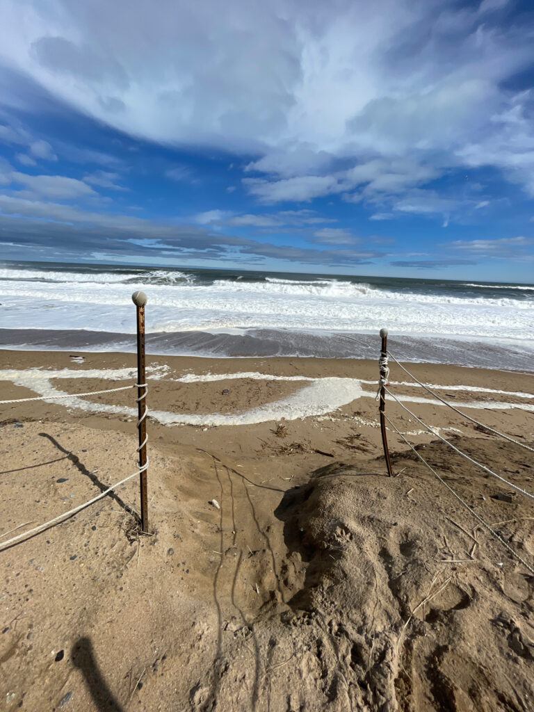 a beach with a few poles (MyCoast AI)
