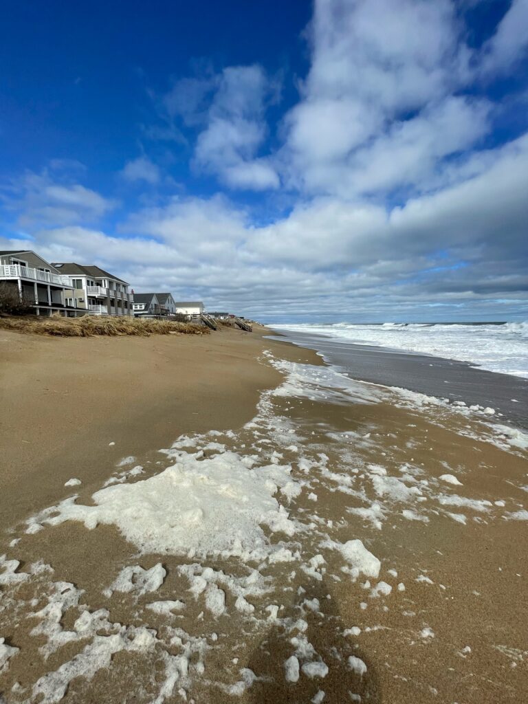a beach with houses along it (MyCoast AI)