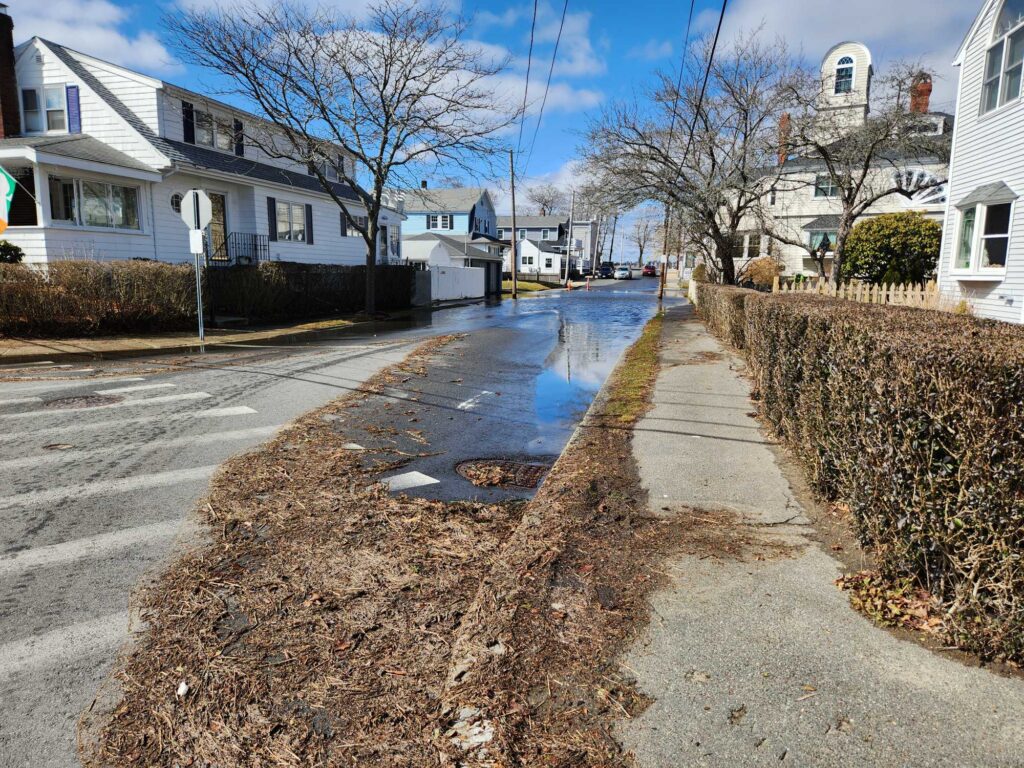 a puddle on a road (MyCoast AI)