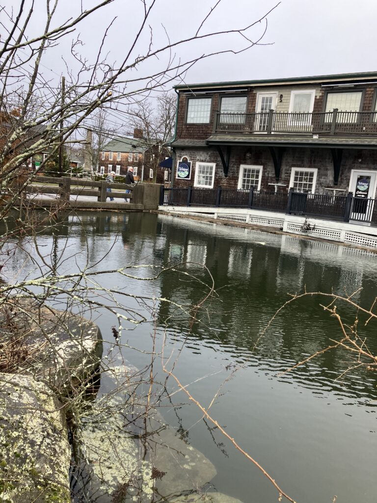 a building with a pond in front of it (MyCoast AI)