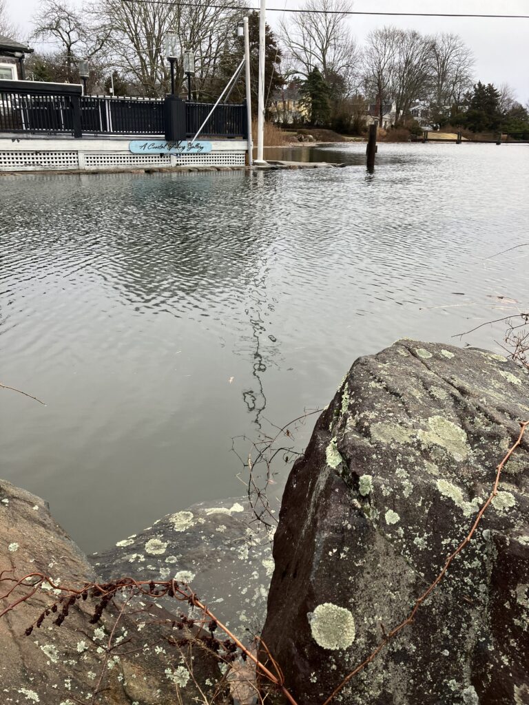 a body of water with a rock in it (MyCoast AI)