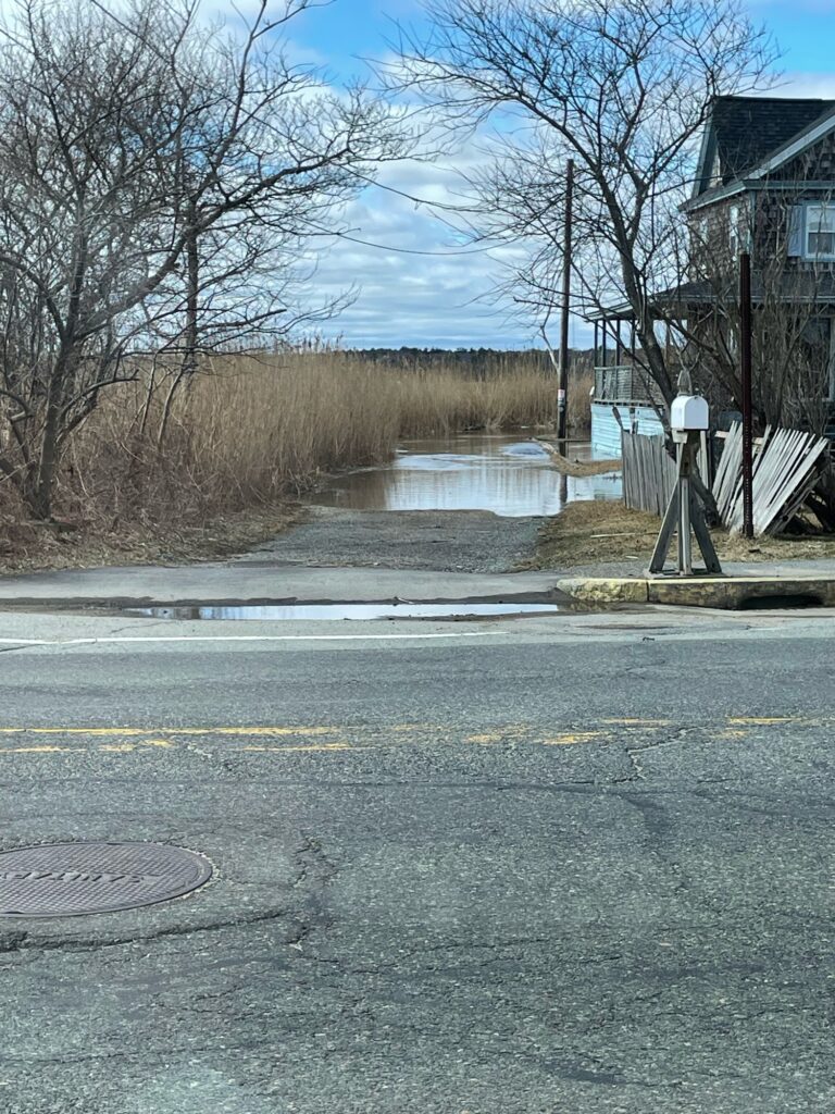 a flooded street with a house and trees (MyCoast AI)