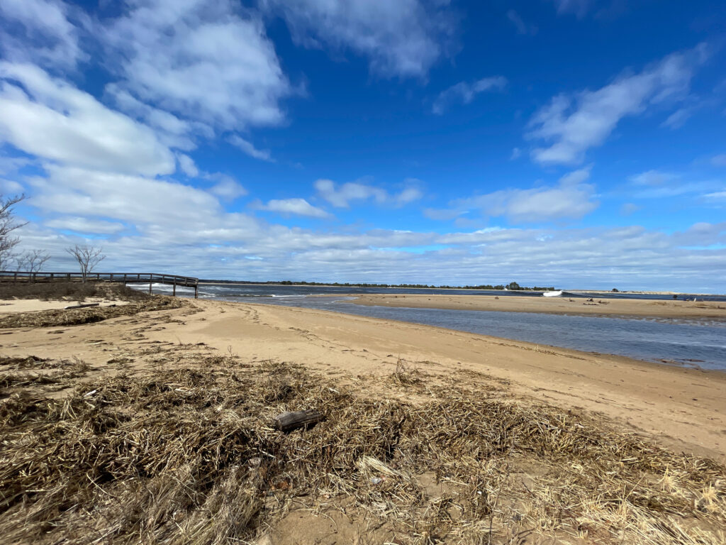 a sandy beach with a body of water in the background (MyCoast AI)
