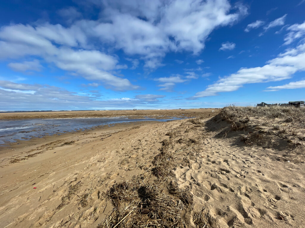 a sandy beach with a body of water in the background (MyCoast AI)