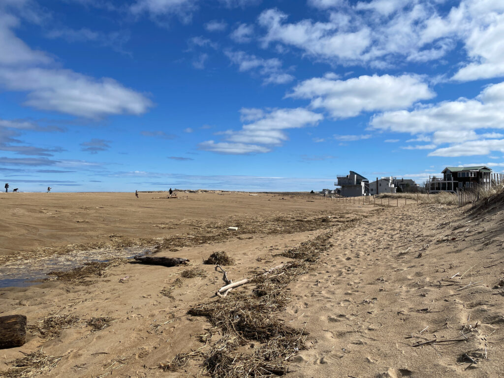 a sandy beach with buildings in the distance (MyCoast AI)