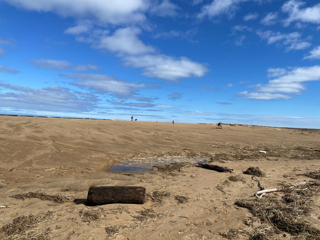 a sandy beach with blue sky and clouds (MyCoast AI)