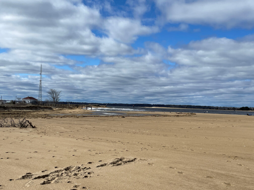 a sandy beach with a tower in the distance (MyCoast AI)