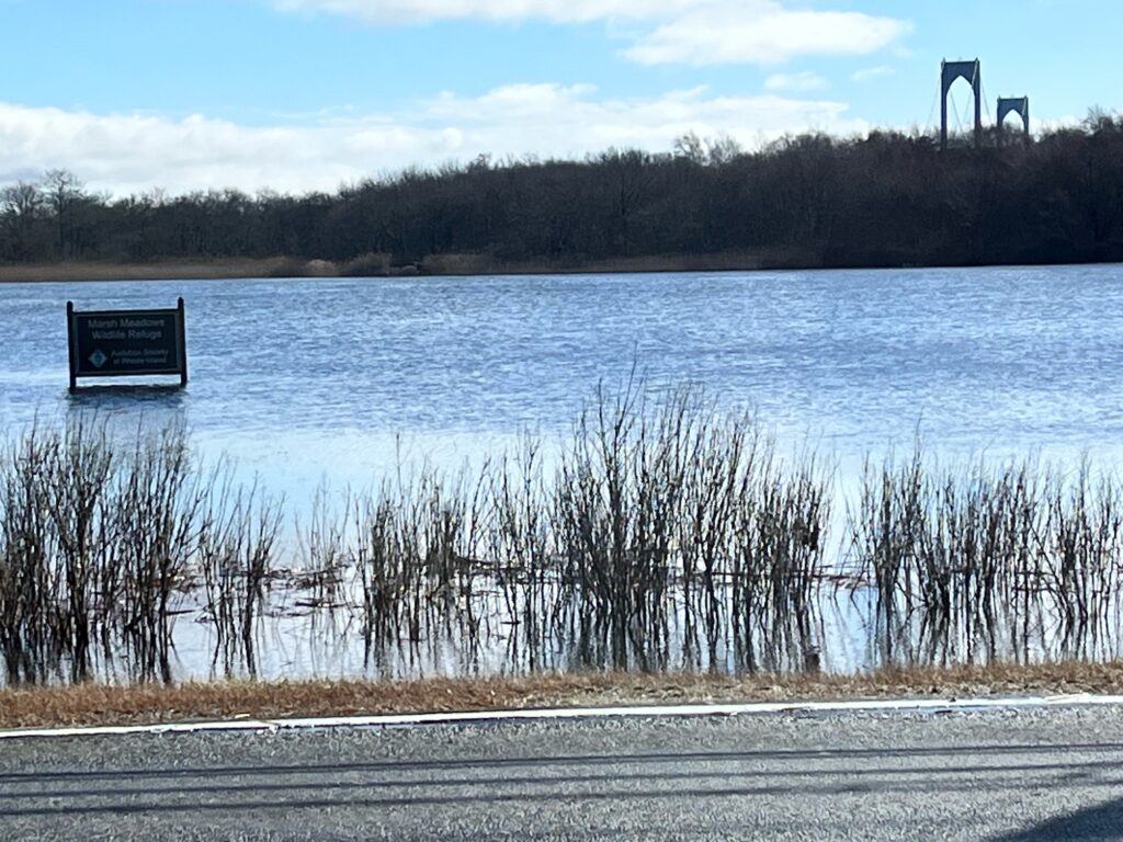 a lake with a sign (MyCoast AI)