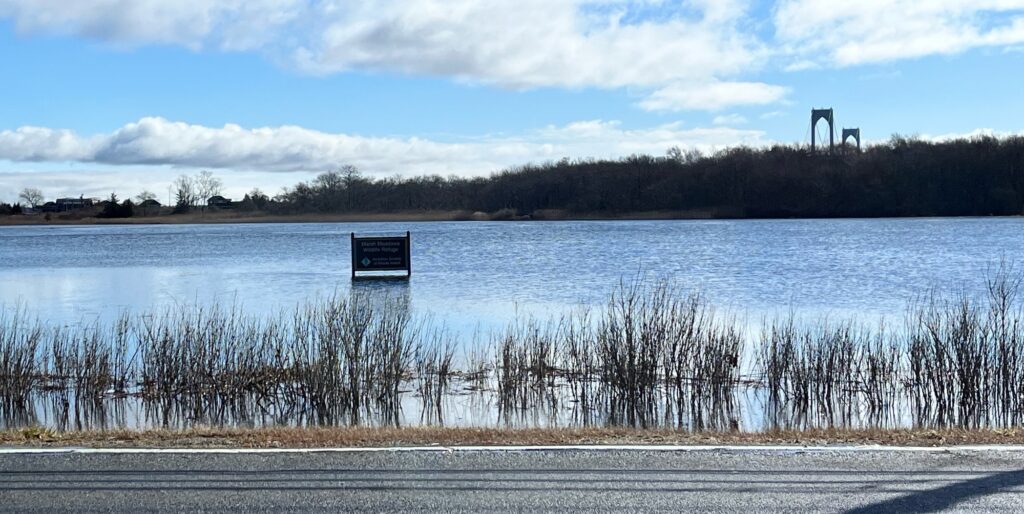 a lake with a sign (MyCoast AI)