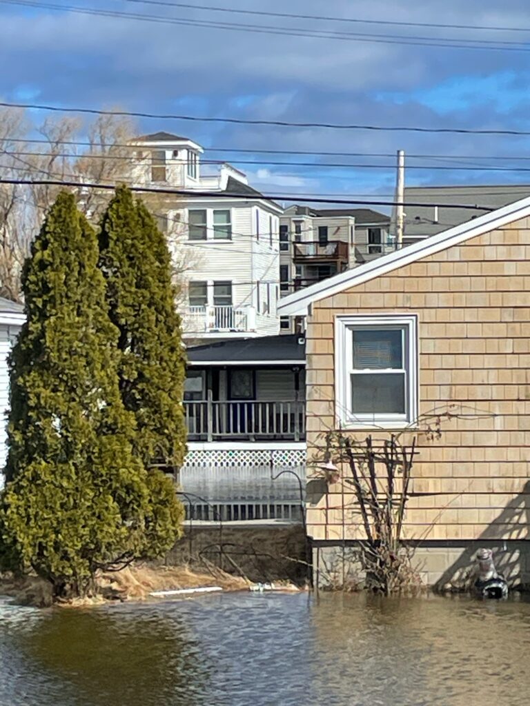 a building with a tree in front of it (MyCoast AI)