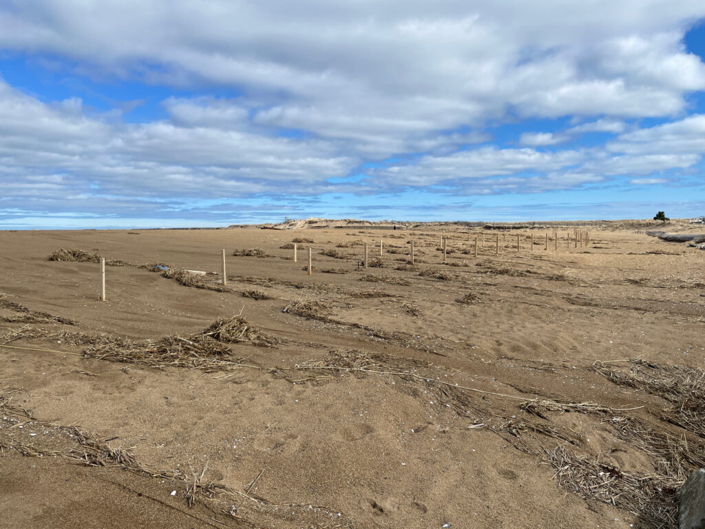 a large dirt field (MyCoast AI)