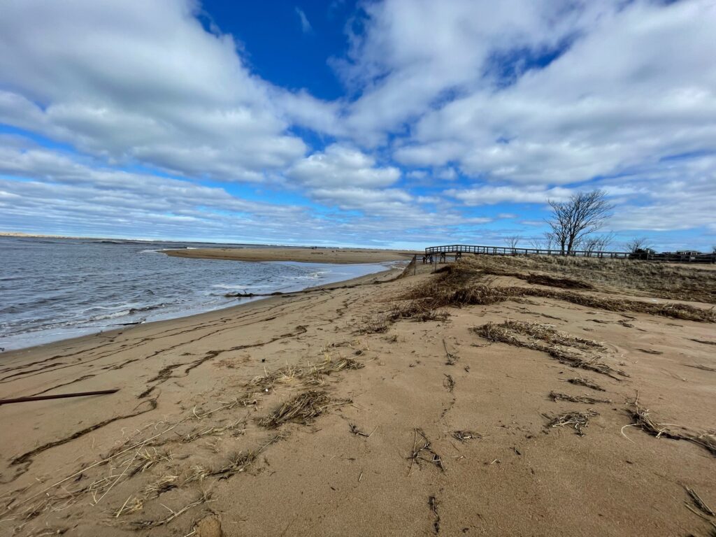 a sandy beach with a tree (MyCoast AI)