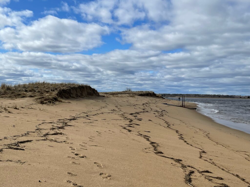 a sandy beach with a body of water and a cloudy sky (MyCoast AI)