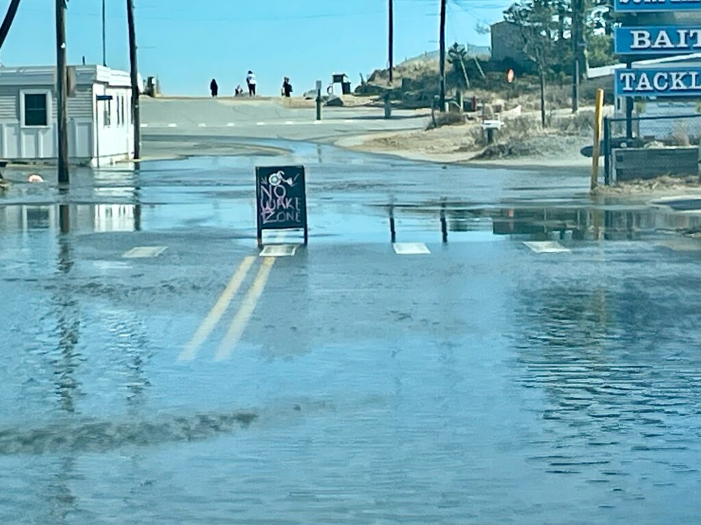 a flooded street with people walking (MyCoast AI)