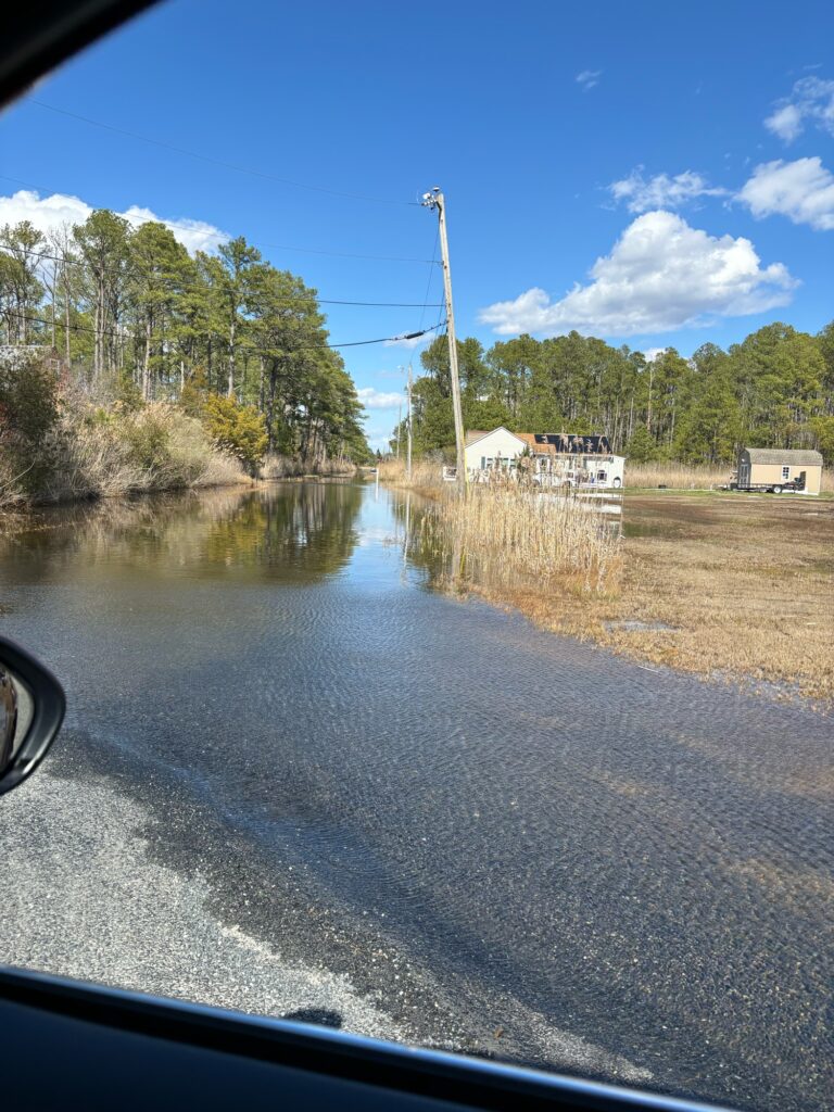 a flooded road with houses and trees (MyCoast AI)