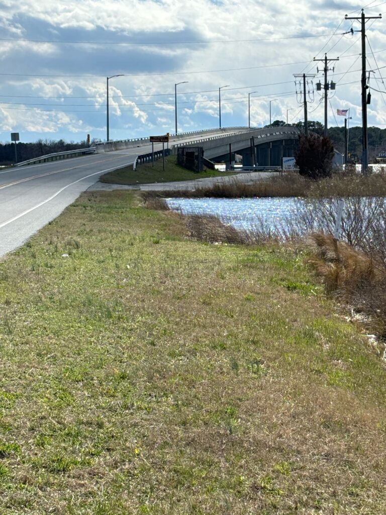 a road with grass and a bridge (MyCoast AI)