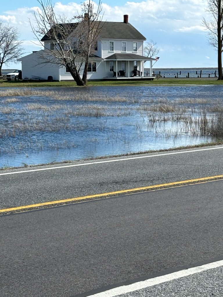 a house with a pond in front (MyCoast AI)