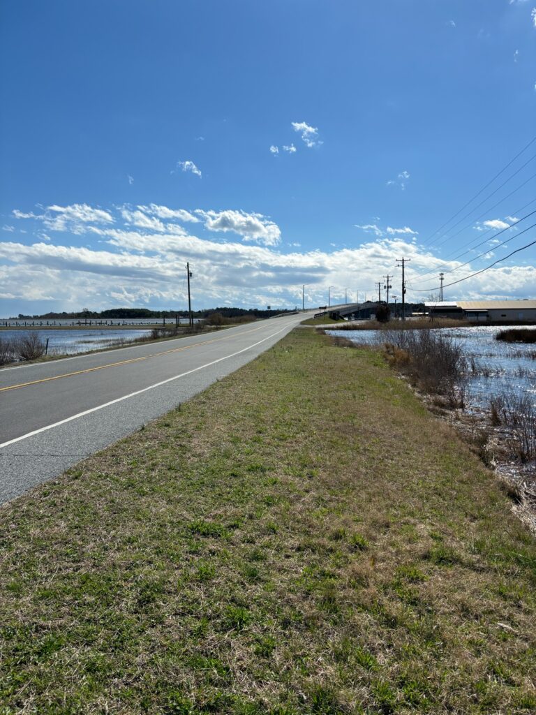 a road with grass and water on the side (MyCoast AI)