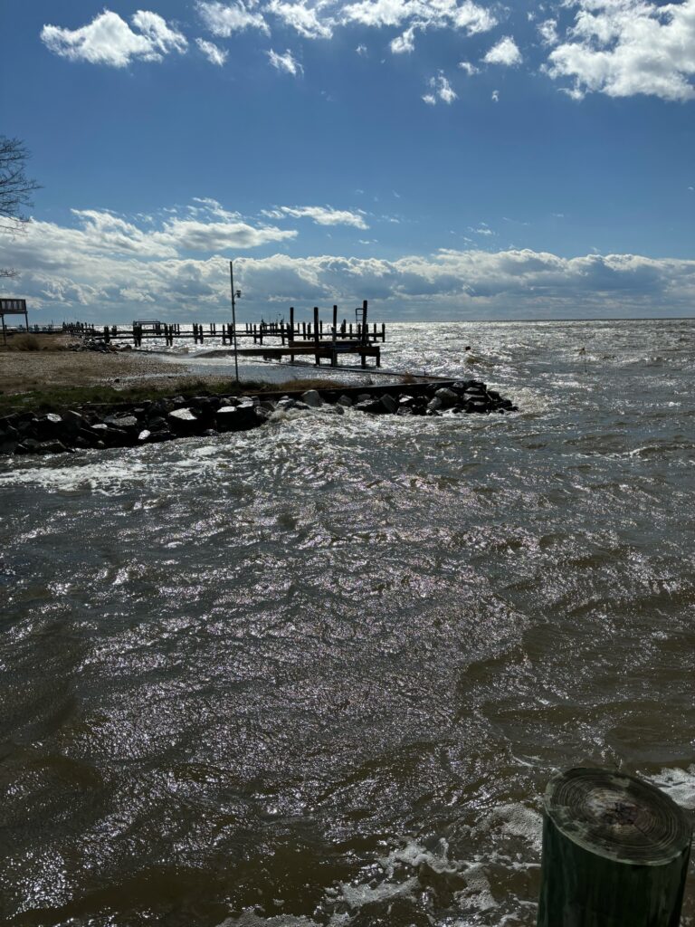a body of water with a dock and a pier (MyCoast AI)