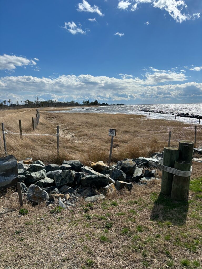 a fence and rocks by a beach (MyCoast AI)