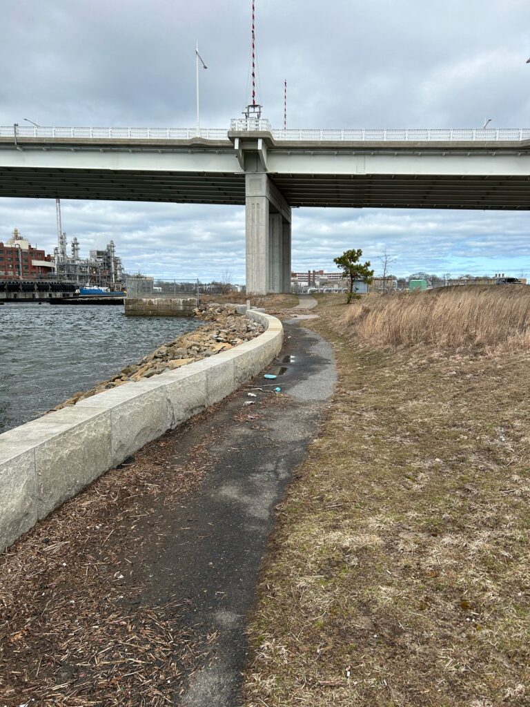 a bridge over a body of water (MyCoast AI)
