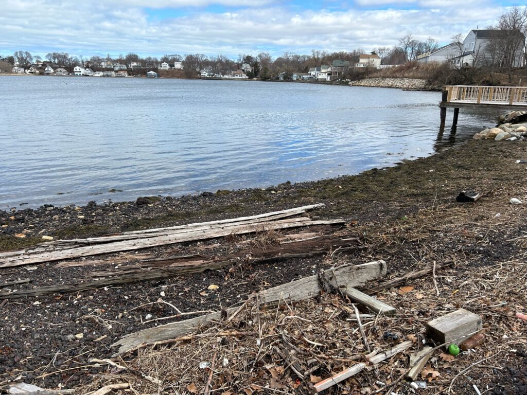 a body of water with a dock and debris on the side (MyCoast AI)