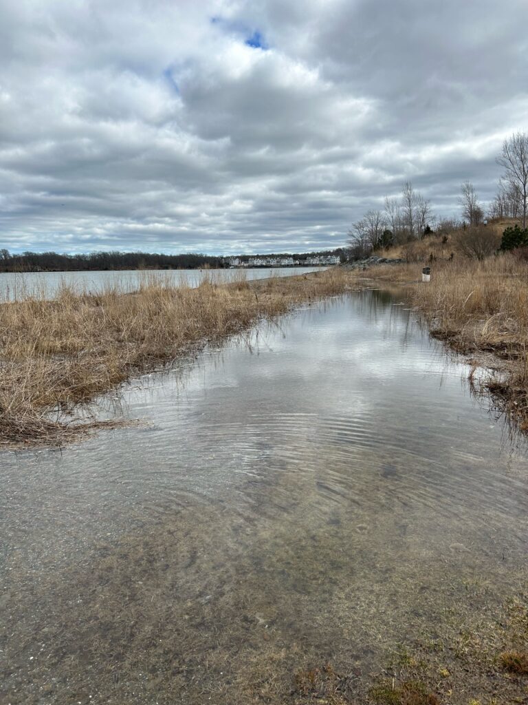 a river with a bridge in the distance (MyCoast AI)