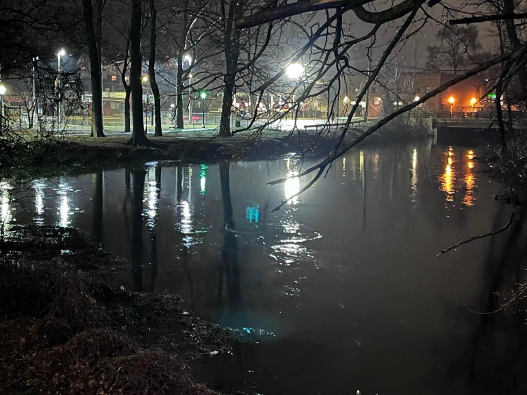 a body of water with trees and buildings around it (MyCoast AI)