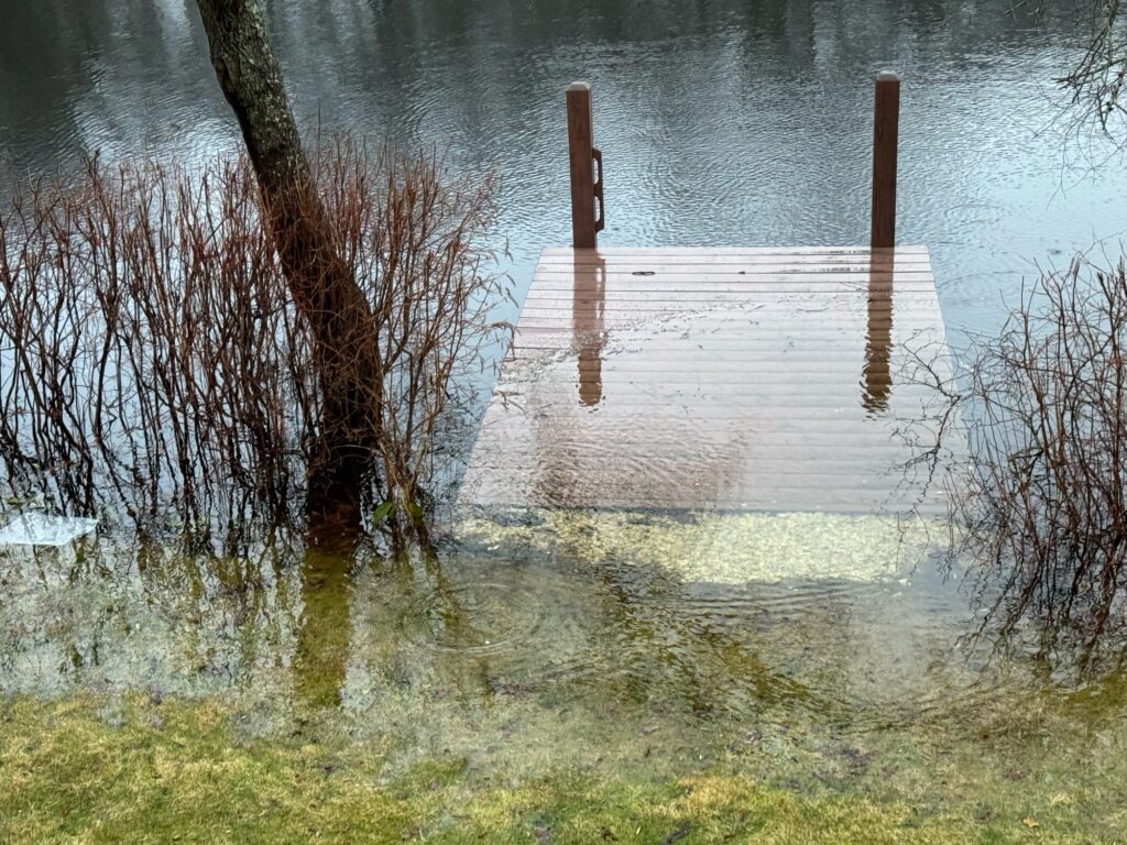 a dock in a body of water (MyCoast AI)