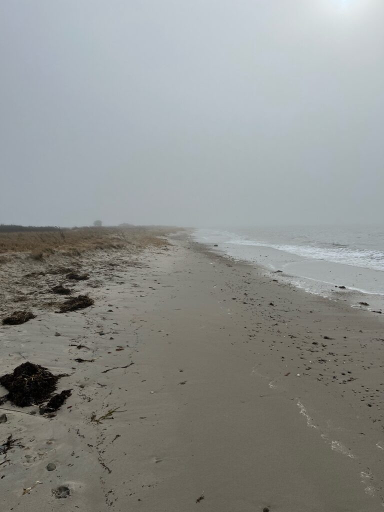a beach with waves crashing on it (MyCoast AI)