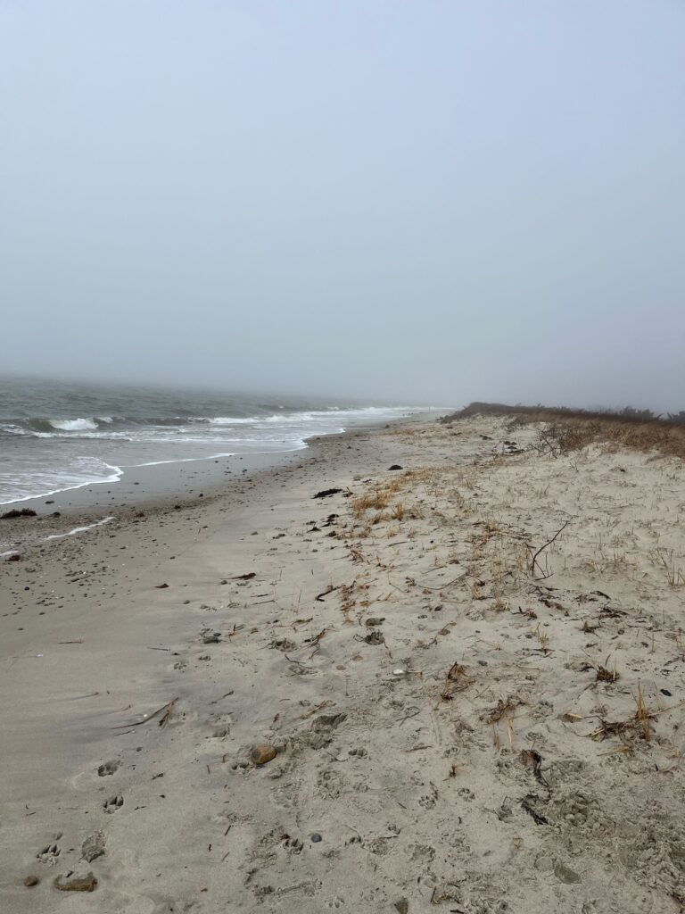 a beach with waves crashing on it (MyCoast AI)